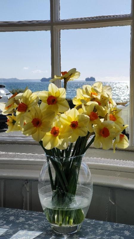 Lichfield House Hotel Weymouth Luaran gambar